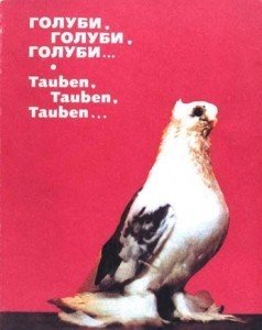Сараджана В.Х. «Голуби, голуби, голуби. . .»